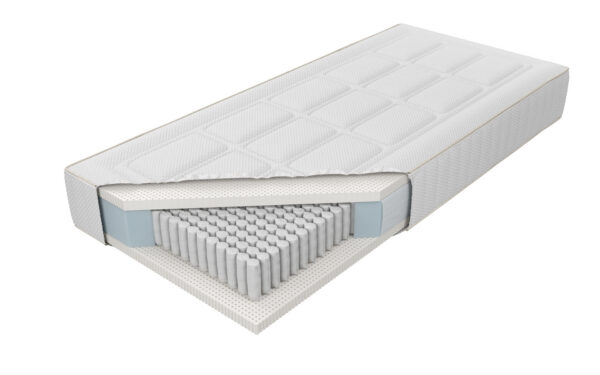 Venus Talalay Natural H3