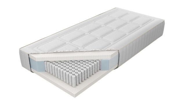 Venus Talalay Natural H3 X5
