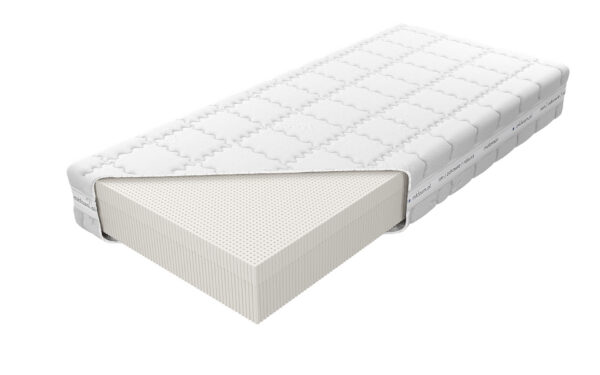 Medivis Talalay Embrace H3