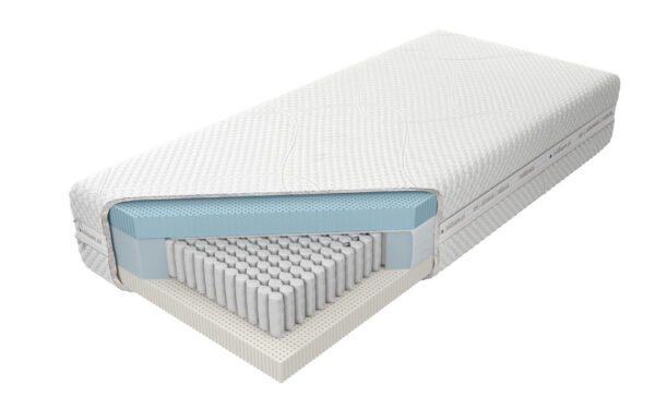 Venus Talalay Blue X7