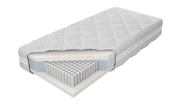 Venus Talalay Natural H2 X5