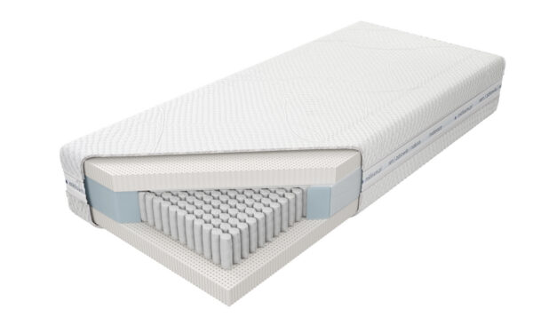 Venus Talalay Natural H2 X7